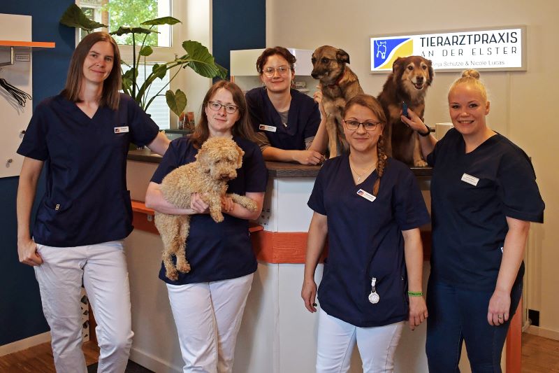 Team der Tierarztpraxis an der Elster